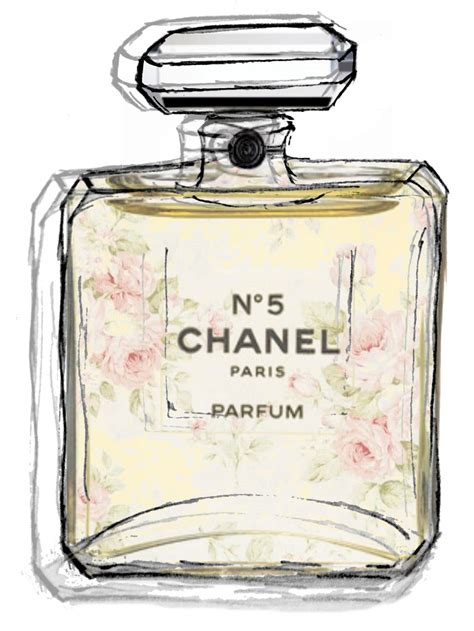 pictures of chanel perfume bottles|chanel bottle illustration.